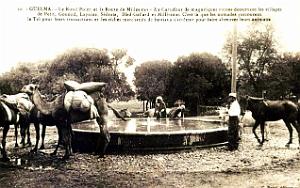 Guelma - Rond-point